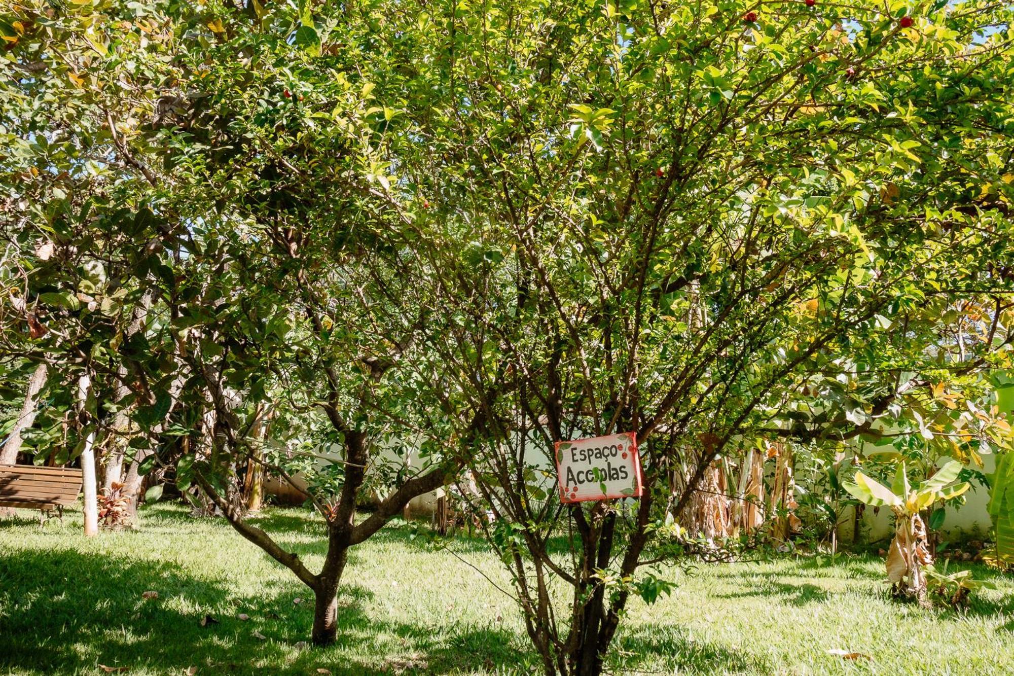 Pousada Adega Cipo Serra do Cipo National Park Dış mekan fotoğraf